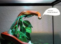 IMG_0280.JPG