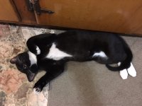 image.jpeg