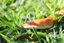 IMG_3187.JPG