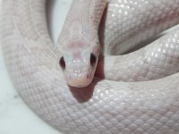 hematite-7-16-2.jpg