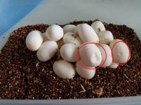 20170526_131055.jpg