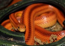 IMG_1192.JPG