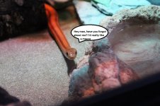 IMG_0373.JPG