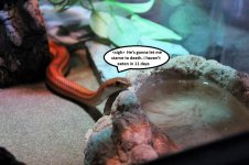 IMG_0374.JPG