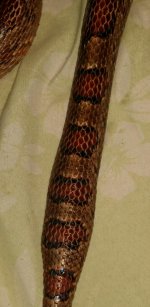 20170629_234925-1.jpg