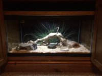 Simon's Viv.JPG