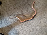 loopy_length__1499357400_20532.jpg