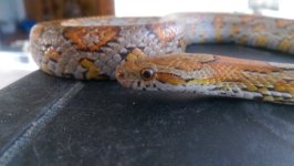 WP_20160802_003.jpg