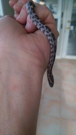 WP_20160802_019.jpg