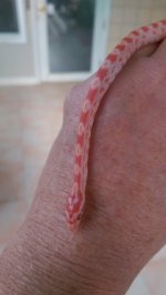 WP_20160802_016.jpg