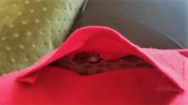 pocketnoodle. (2).jpg