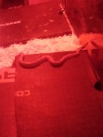 IRS20170824_050544.jpg