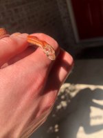 IMG_0993.jpg