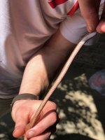 IMG_0994.jpg