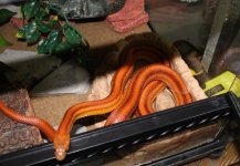 IMG_1379.JPG