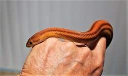 IMG_1382.JPG