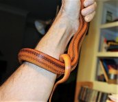 IMG_1380.JPG
