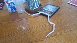 rsz_20170602_113249.jpg
