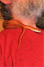 IMG_1396.JPG