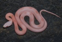 19-34-3m.JPG
