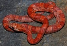 19-36-1m.JPG