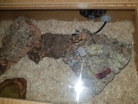 20171001_224801.jpg