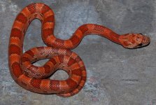 19-37-7m.JPG