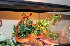 IMG_1414.JPG