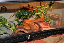 IMG_1413.JPG