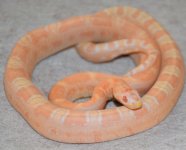 DSC_8365.JPG