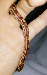 IMG_20171107_231812.jpg