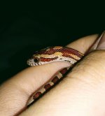 IMG_20171107_232133.jpg
