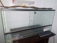 viv-1.jpg