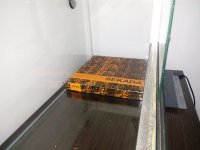 viv-2.jpg