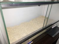 viv-3.jpg