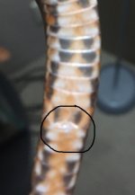 sample1.jpg