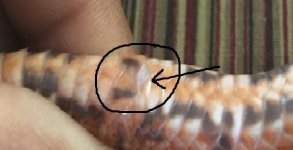 sample2.jpg