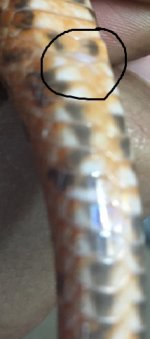 sample3.jpg