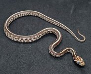 mtxmtf519207(A).jpg