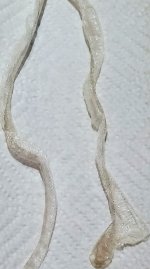 First shed.2.jpg