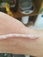 snake%20scales1_zpsidy6rczd.jpg snake%20scales1_zpsidy6rczd.jpg