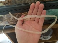 first%20shed_zpsltnjozg9.jpg first%20shed_zpsltnjozg9.jpg