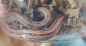 20180526_232734.jpg