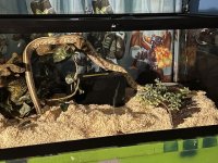 IMG_3243.jpeg