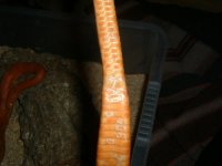 dscf000111.jpg
