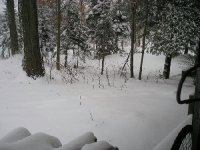 snow.jpg