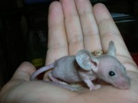 Picture 133 (Small).jpg