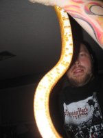 Odd Corn 001.jpg