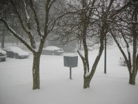 newsnowpic1.JPG