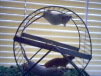 round & round.jpg